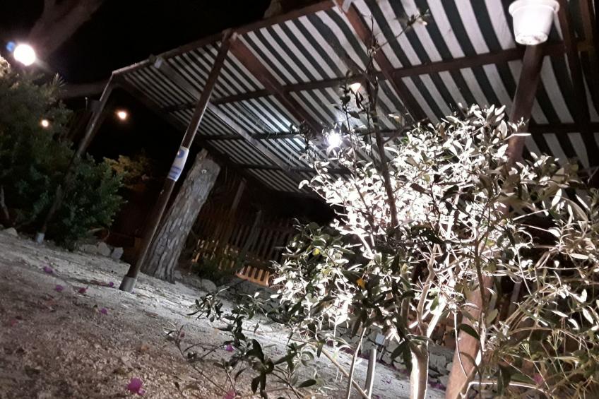 'Villa sul porto - foto 36