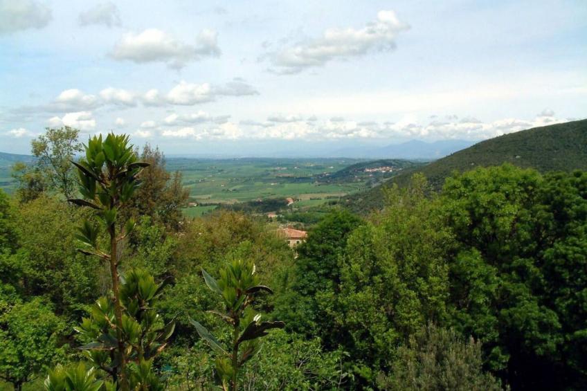 Roberto Relax Haus auf dem Lande in der Nähe des Meeres - foto 20