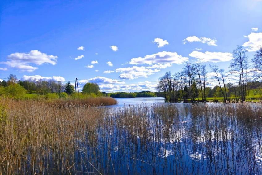 Appartementen, Rekowo - Type B - foto 23