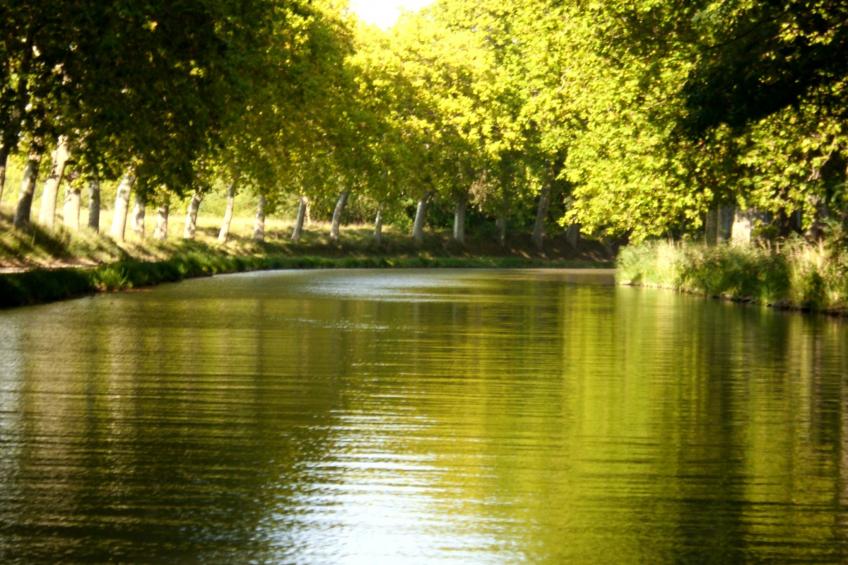 Maison Bleu - foto 6