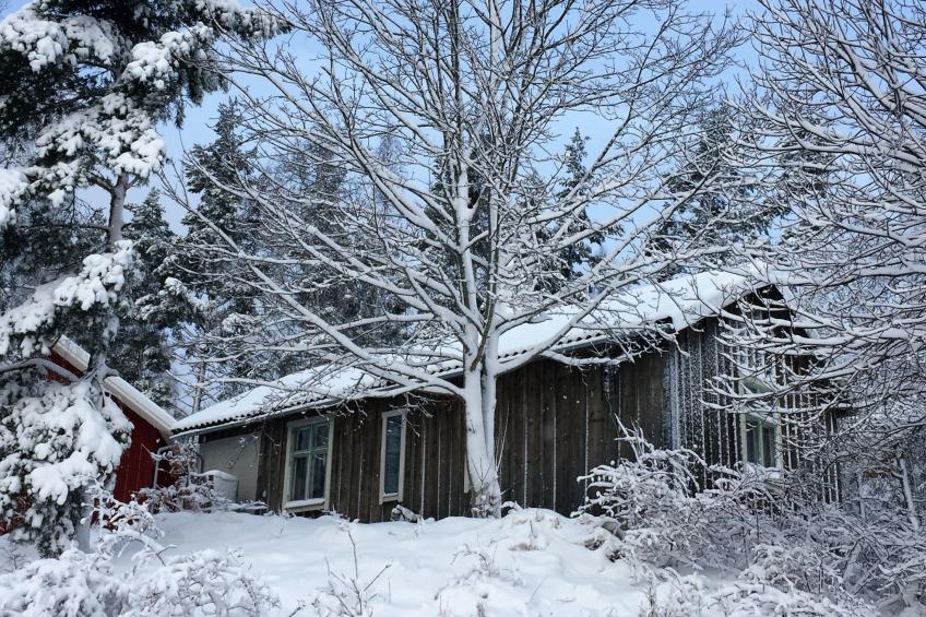 Nachhaltig und gefühlvoll in Seenähe - foto 23