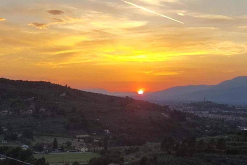 Villa Leo - foto 37