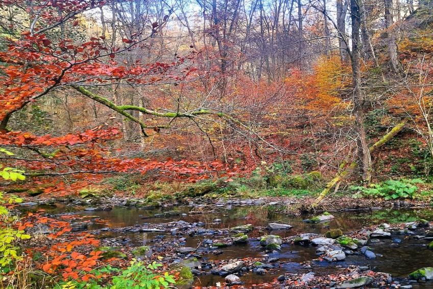 Skjoldenhof - foto 34