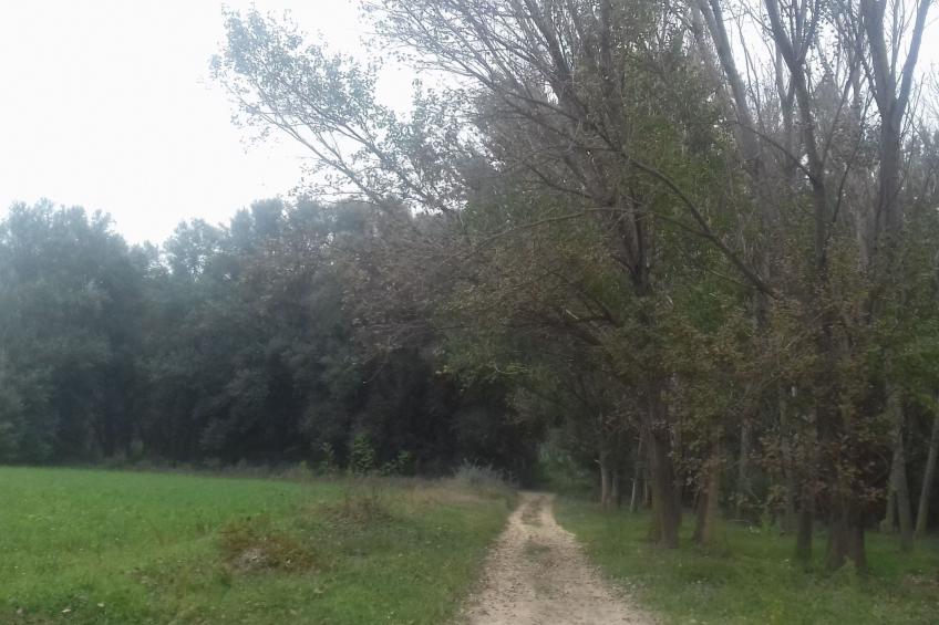 Casa rural hospital del temple - foto 27