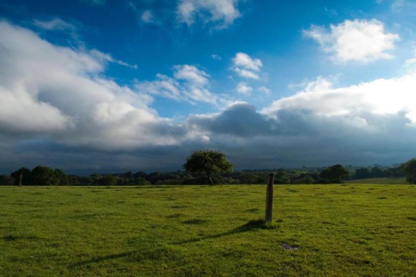 Le Fournil - foto 33