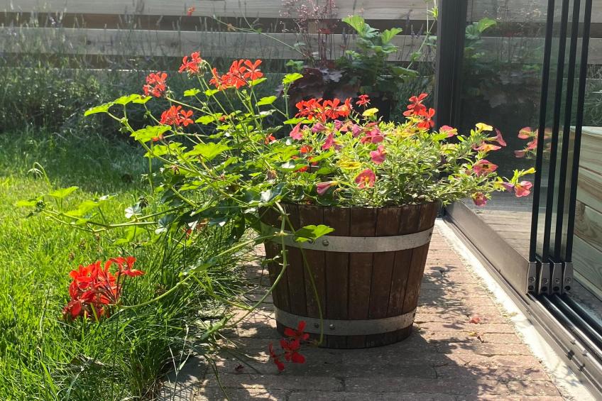 De Groninger Zeeuw - foto 43