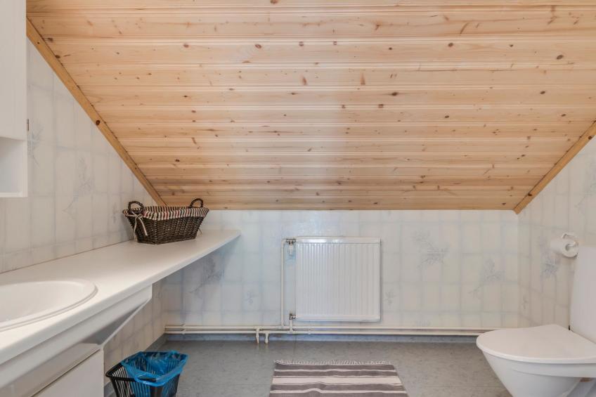 Villa pääsky - foto 27