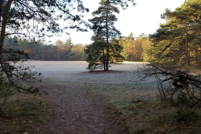 Geschmackvoll eingerichtetes Bauernhaus aus dem 19. - foto 15