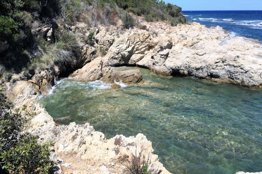 Les Jardins d'Ève - foto 15