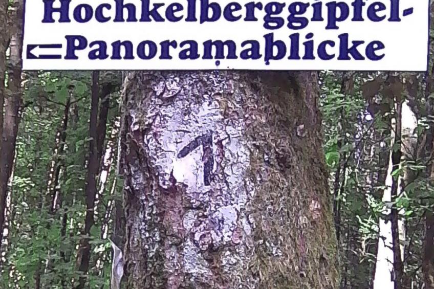 Elztalblick - foto 28