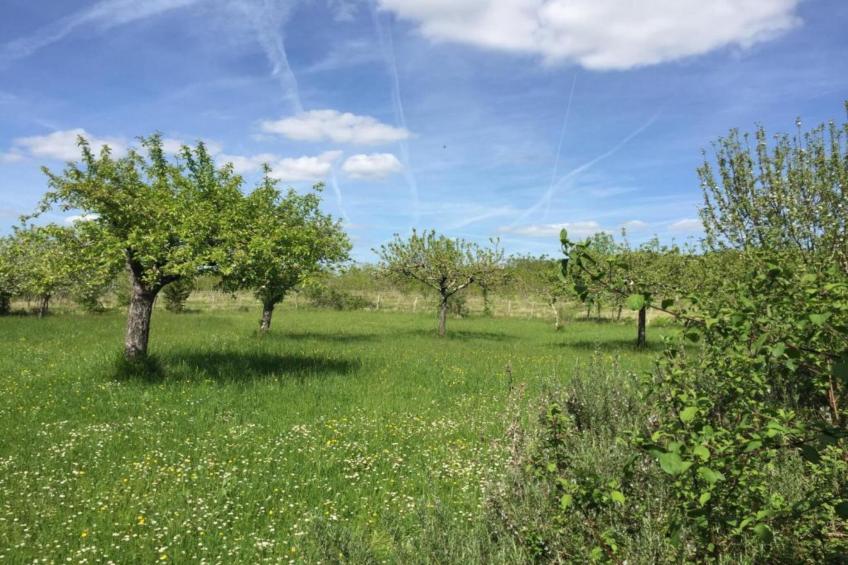 Maison de vacances - LUSIGNAC  Gastverblijf - foto 35