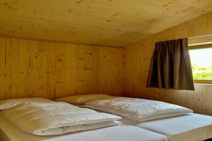 Groepsaccommodatie + 4 large greenhouses (36 personen) - foto 17