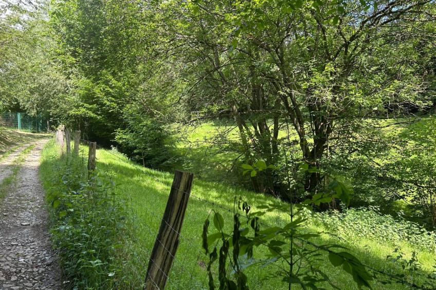 The Forest Retreat - foto 45