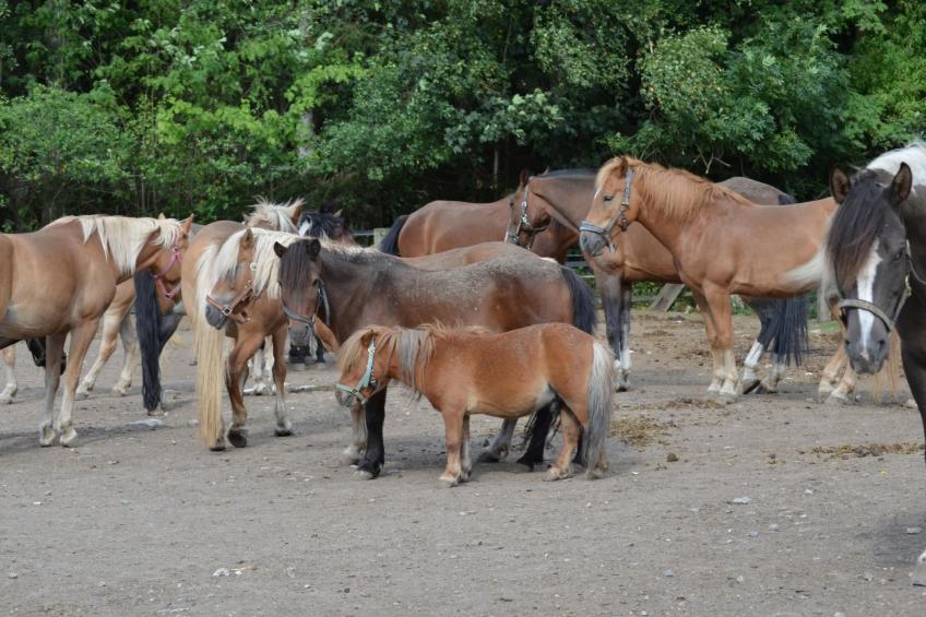 mit Balkon und zwei Schlafzimmern - foto 22