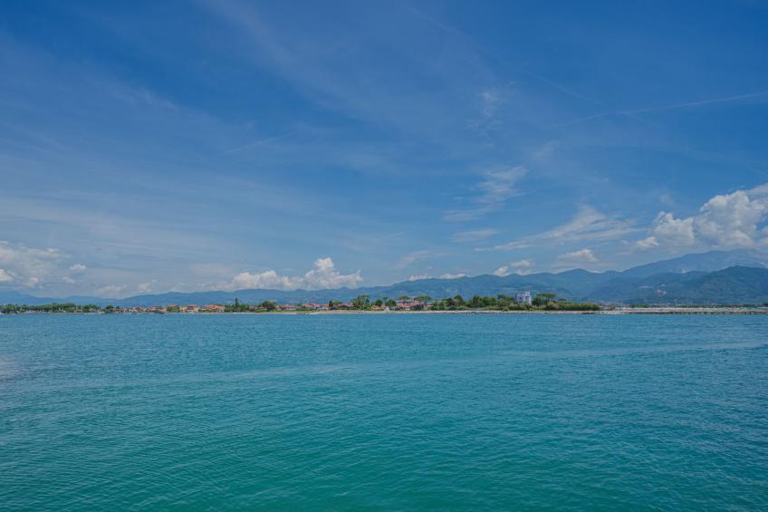 Kirschbäume, eine Oase im Wald zwischen Meer und Natur - foto 18