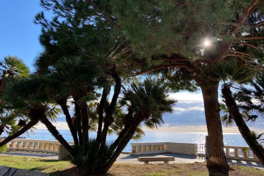 Casa Uliveto - foto 29