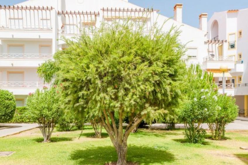 Alfamar Apartment at Praia da Falesia - foto 20