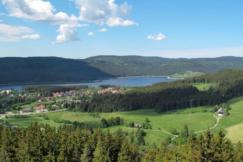 Kurhotel Schluchsee, 4-Bettwohnung - foto 56