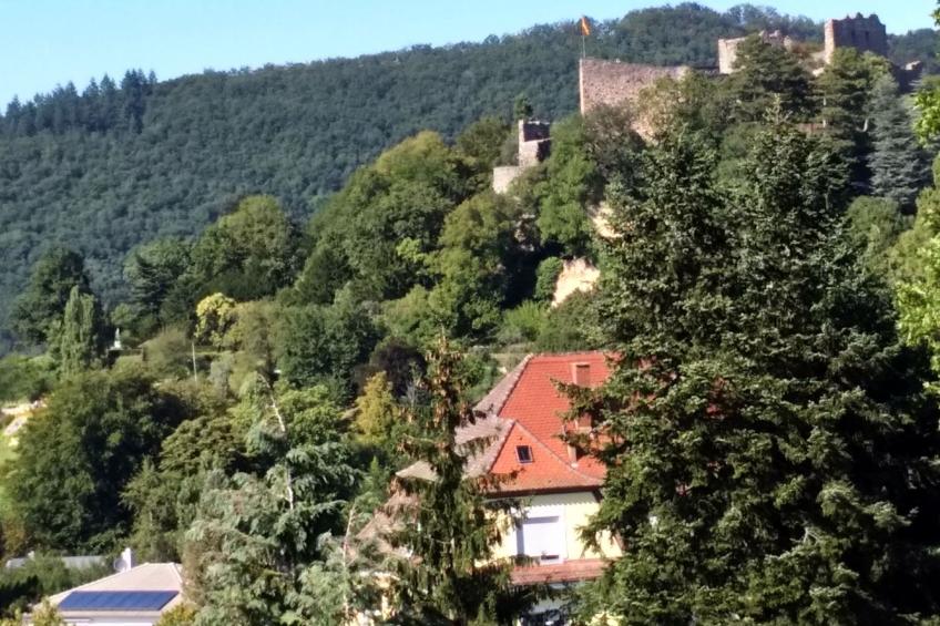 Fewo-ferber, Vogesen - foto 8