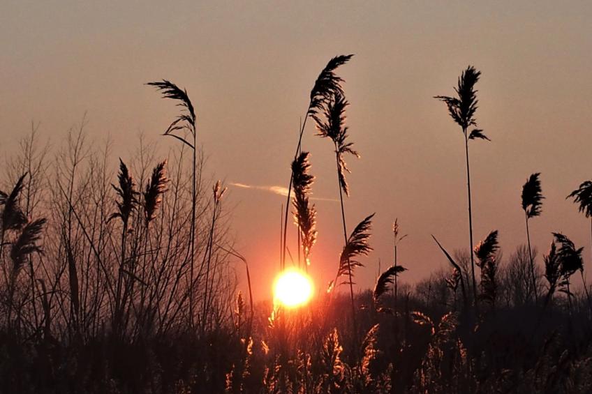 Moderne Ferienwohnung mit Balkon, nur 500 Meter von Meer und Strand entfernt - foto 33
