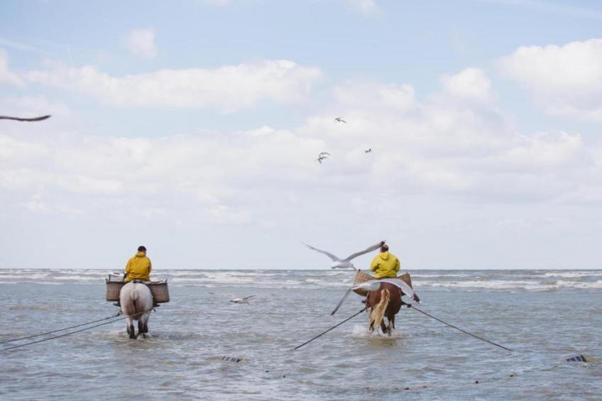 PLAZA I/2811 - foto 33