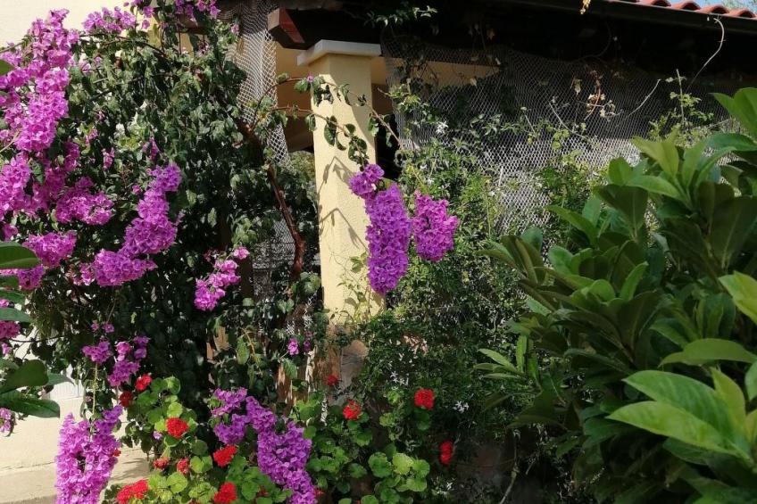 "Lile" mit Blick auf das Wasser - foto 2