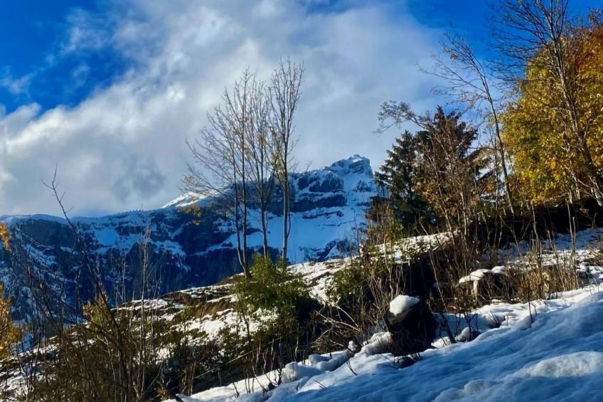 Chalet Kristall - foto 20