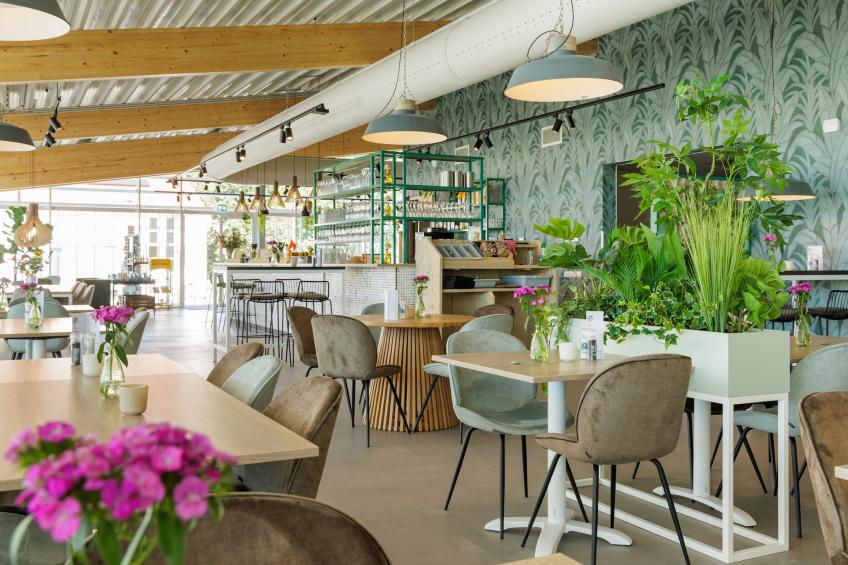 Duinresort Dunimar 3 - foto 39