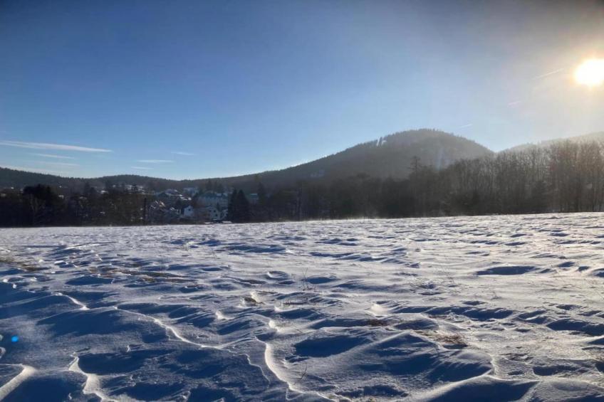 Sonnenschein - foto 38