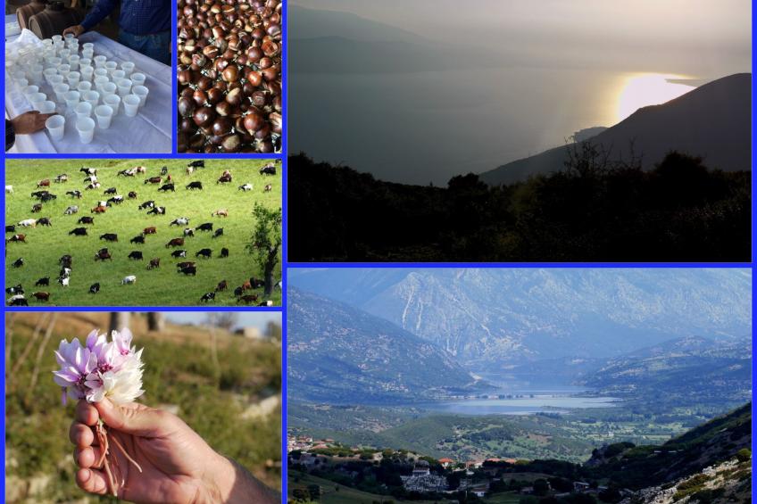 Spiti Louloudia - foto 56