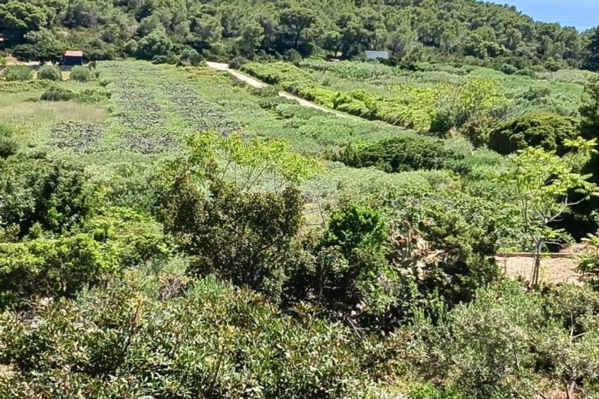 Apartmani Green Oasis - One Bedroom Apartment with Terrace and Sea View - foto 17