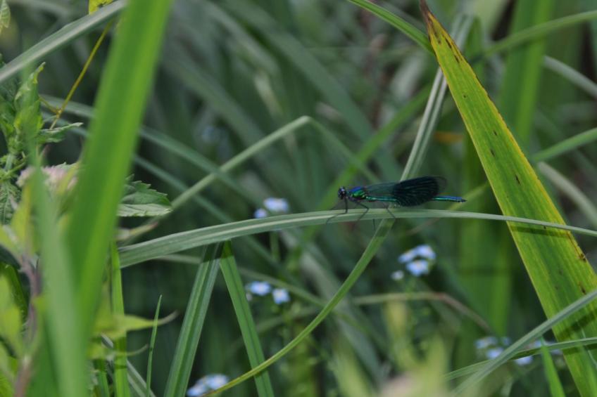 Rosalie - Ruhig - Zentral - Hochwertig - foto 26