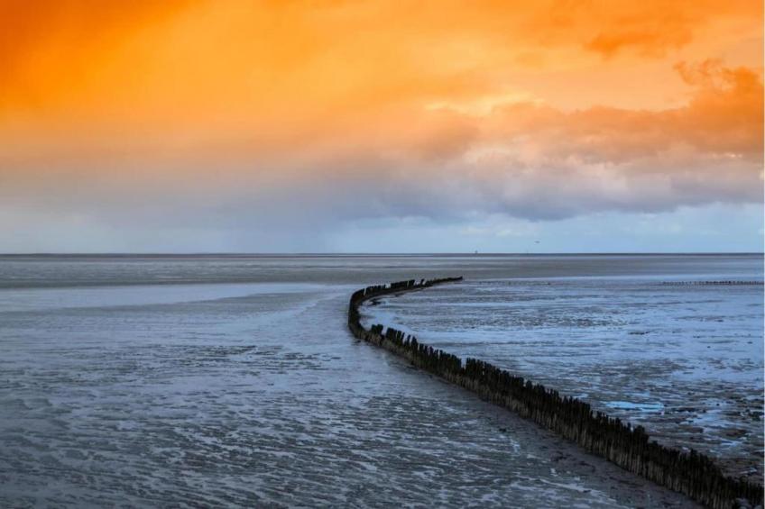 Stadsappartement Leeuwarden - foto 29