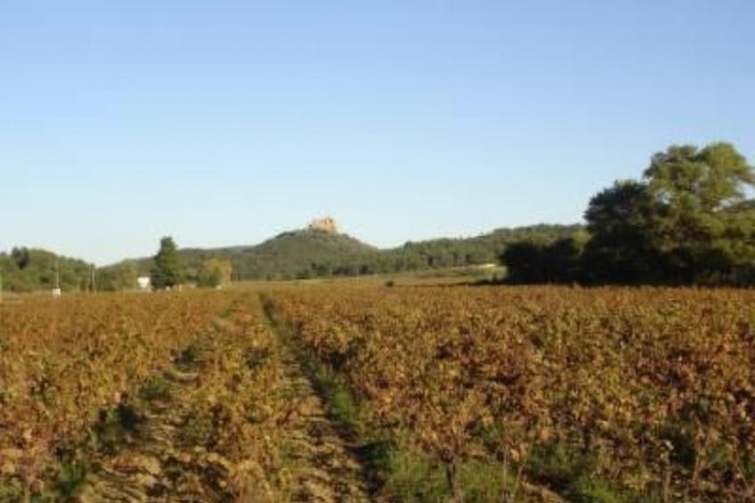 Schönes Ferienhaus mit Pool - foto 23