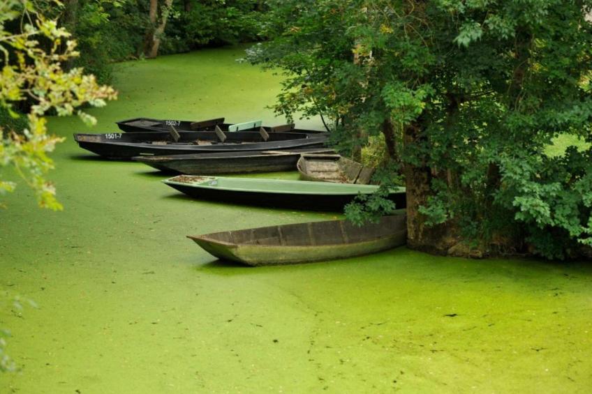 La Rievière - foto 40