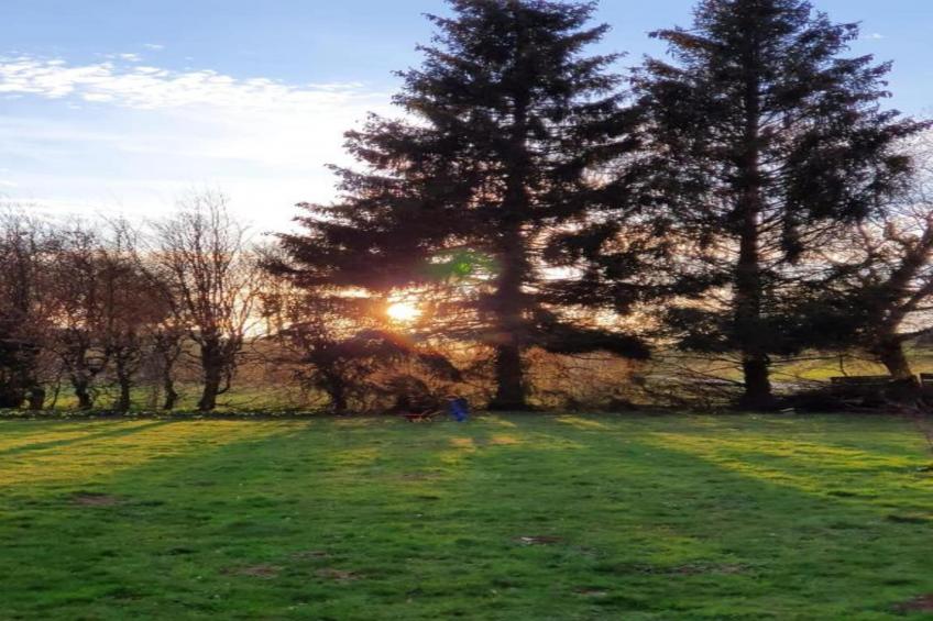 Chalet - ABBÉVILLERS - foto 35