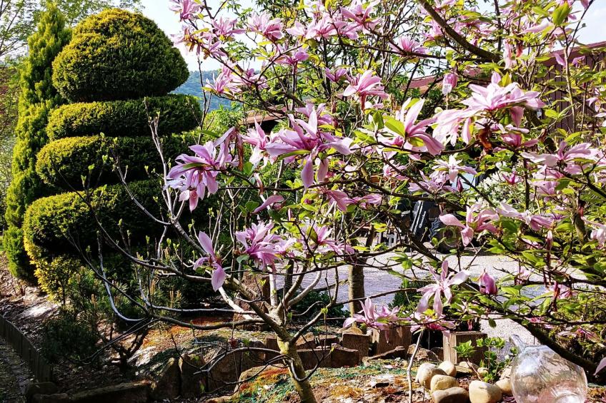 Ruhiges Ferienhaus mit Garten an der Weinstraße - foto 40