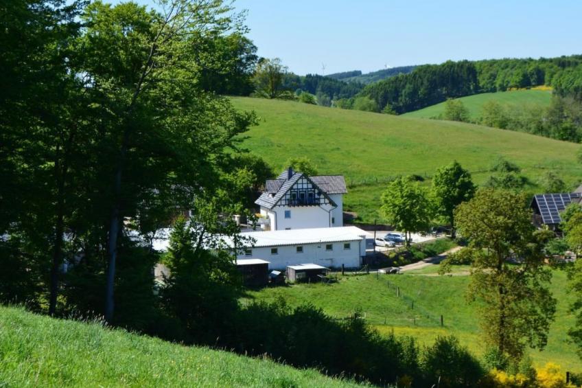 in Feldmannshof mit Grill und Garten - foto 41