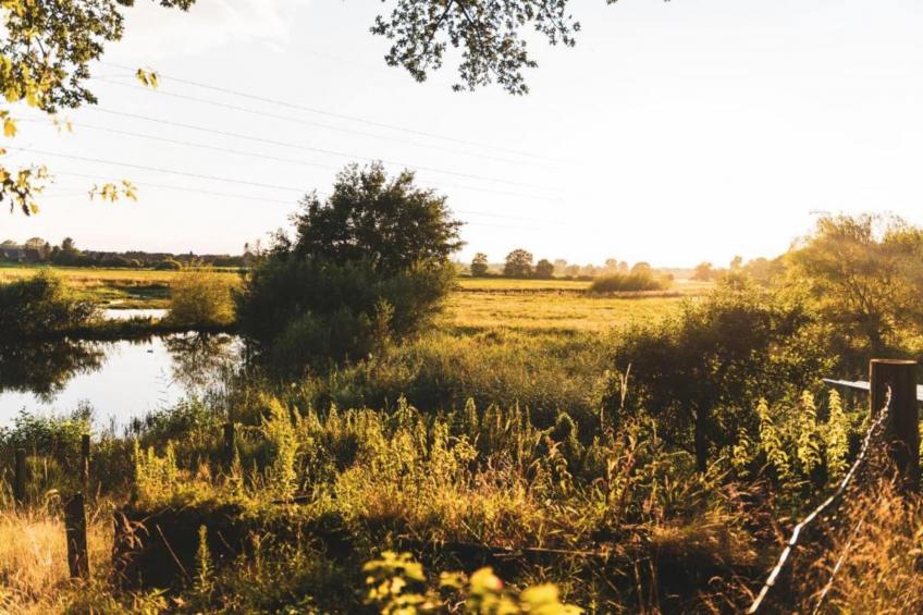 Ferienresort Bad Bentheim - foto 20