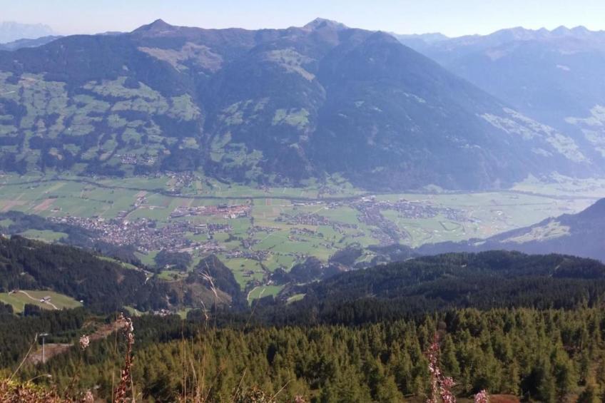 Alte Mühle - foto 33