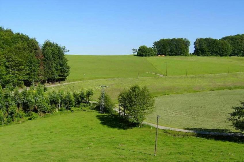 Panoramablick - foto 31