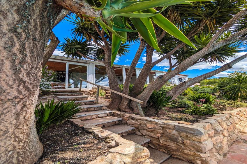 Finca las Chozas - foto 15