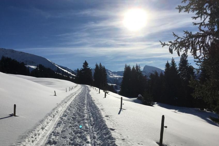 Fewo mit Herz - foto 41