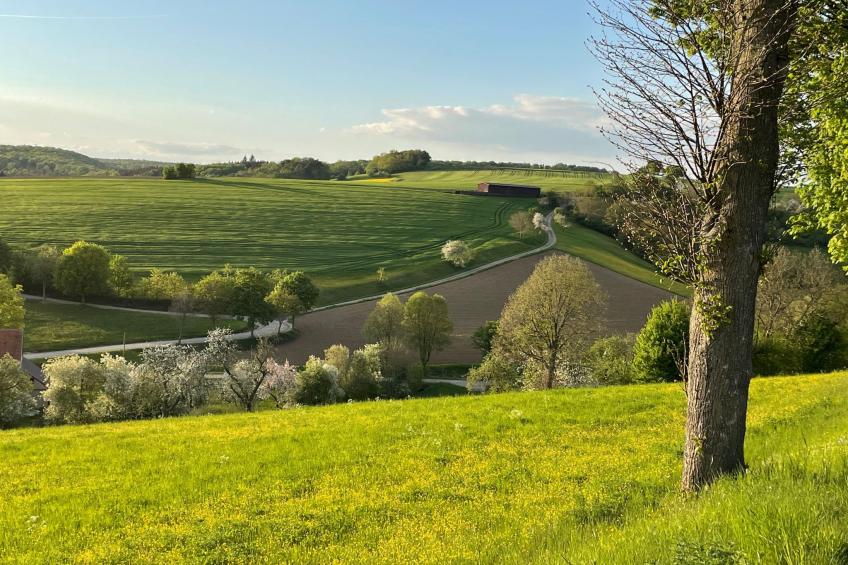 Nassauer Forsthaus - foto 32