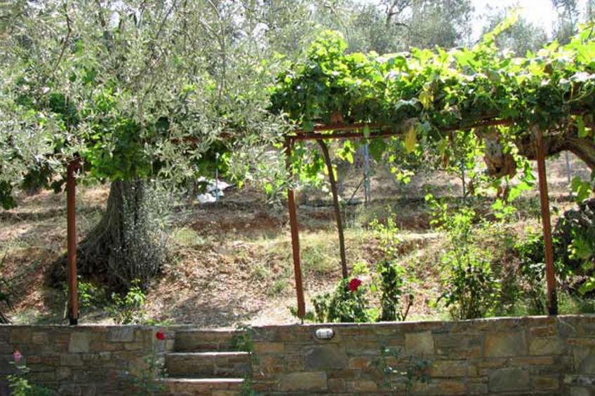 Niki Studios 1 - foto 9