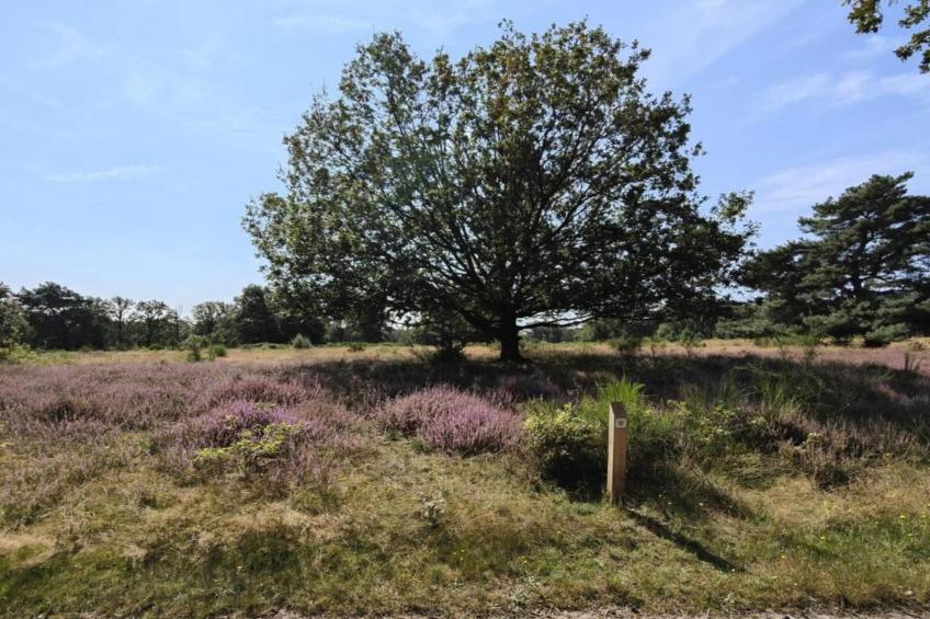 Buitenhof De Leistert - foto 37