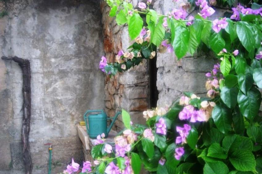 Appartement in Jelsa mit Garten und Grill