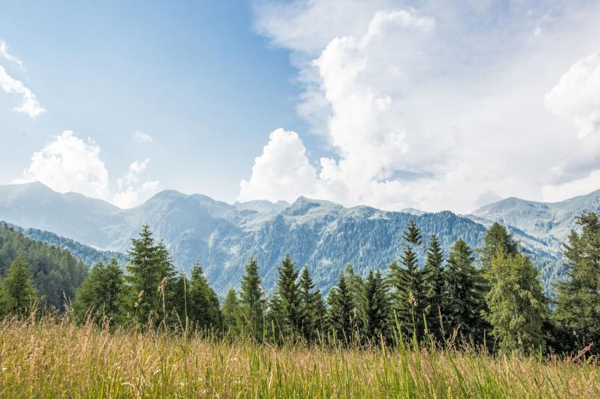 Baita al Compo - foto 11