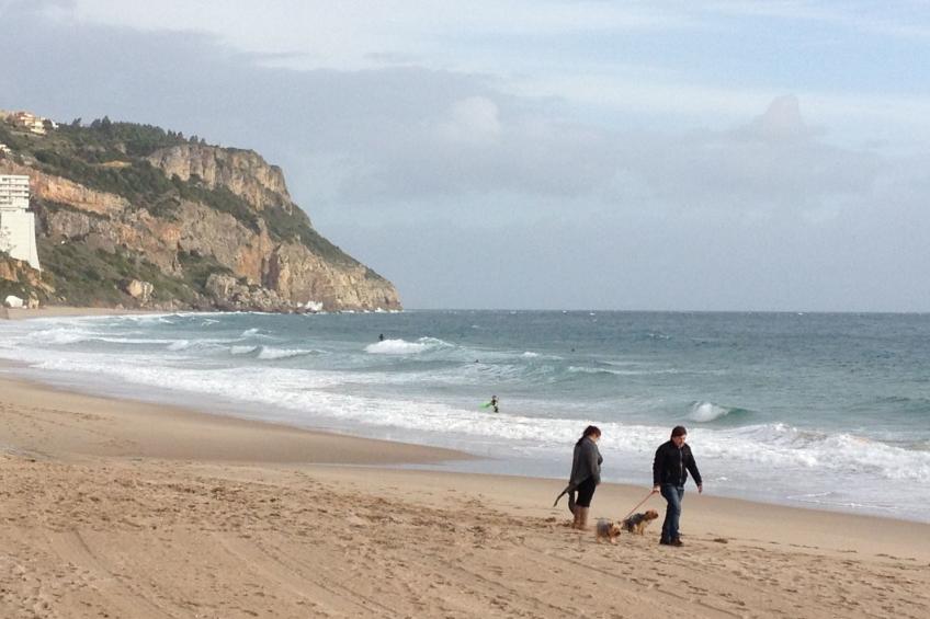 in Sesimbra mit Grill, Terrasse und Garten - foto 29