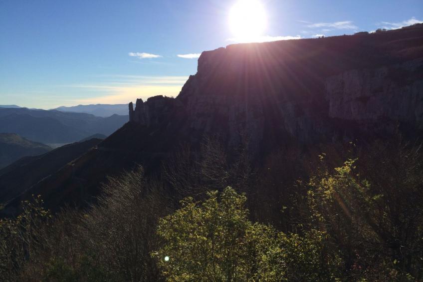 Domäne auf dem Bauernhof - foto 40